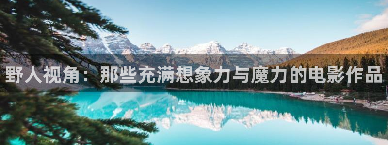 我的后半生电视剧星辰影院