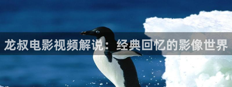 为有暗香来星辰影院
