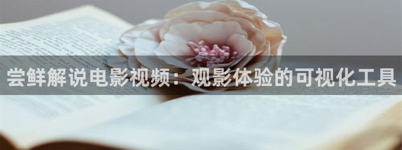 免费电影在线观看星辰影院
