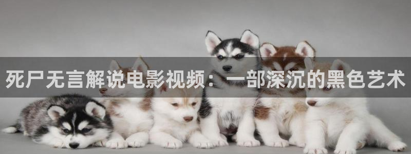大片电影在线观看星辰影院