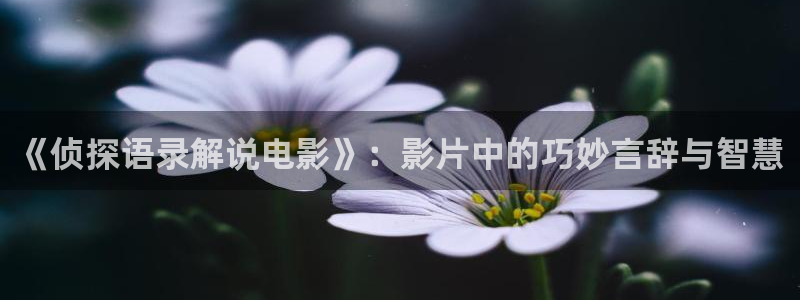 猎罪图鉴2电视剧星辰影院