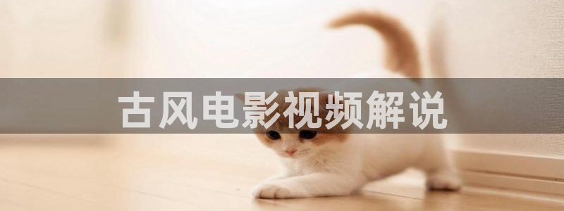 小欢喜电视剧免费观看全集星辰影院