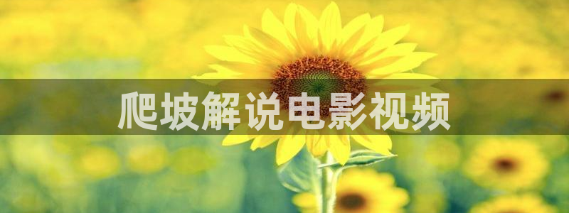 星辰电影在线观看