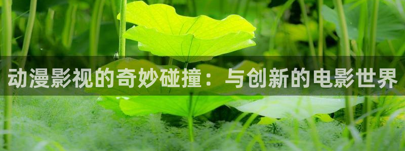 北京星辰合力影视