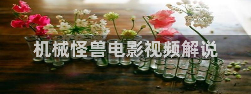 善良的嫂子星辰影视