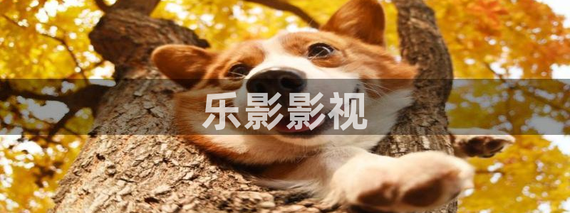 棋魂星辰影视全集在线观看免费