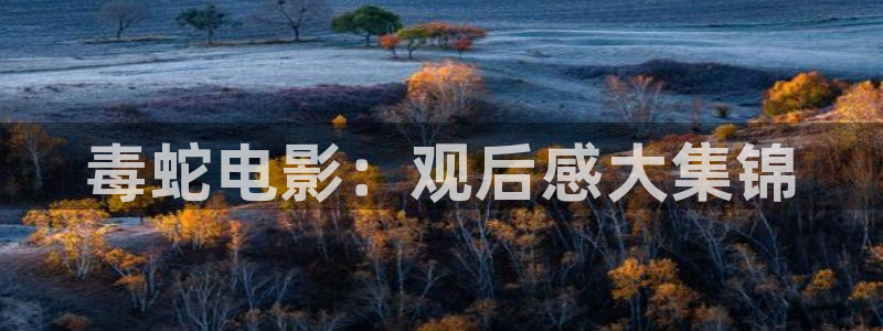 月光变奏曲电视剧免费观看星辰影院