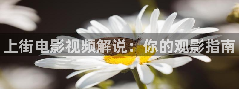 星辰影院电视剧免费观看大全高清