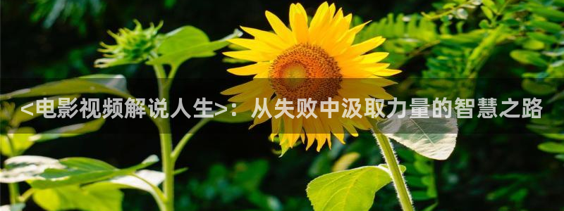 星辰影院在线观看vip