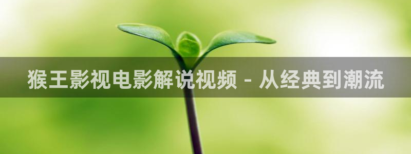 向风而行星辰影院
