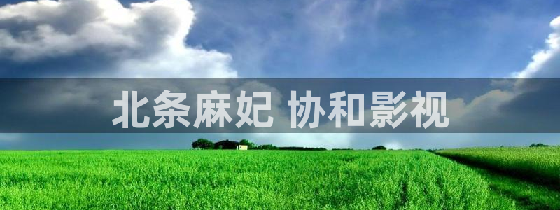 柳舟记电视剧免费观看星辰影院