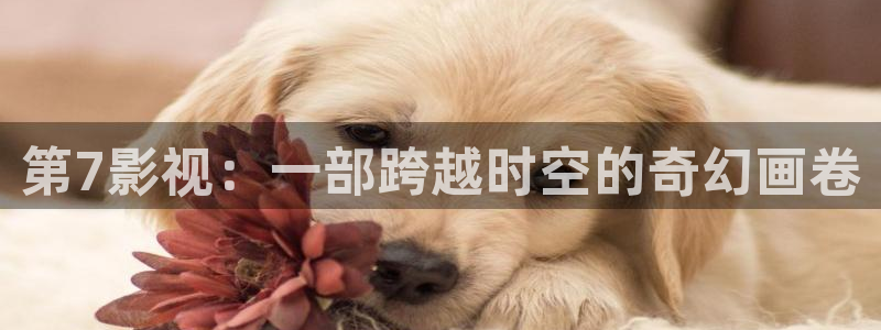 相逢时节星辰影院