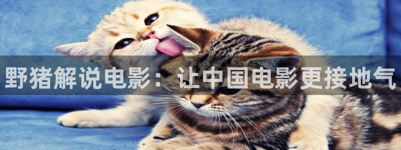 繁花星辰影院