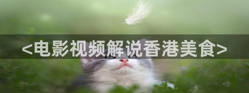 星辰影院2023最新全新电影电视剧
