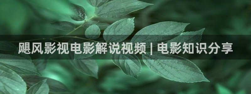 情深深雨蒙蒙星辰影院