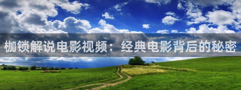 亲爱的翻译官星辰影院