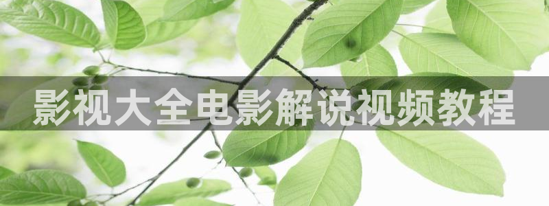 手机电影星辰影院免费观看