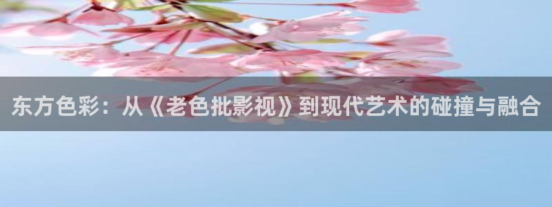名侦探柯南动漫星辰影院在线观看