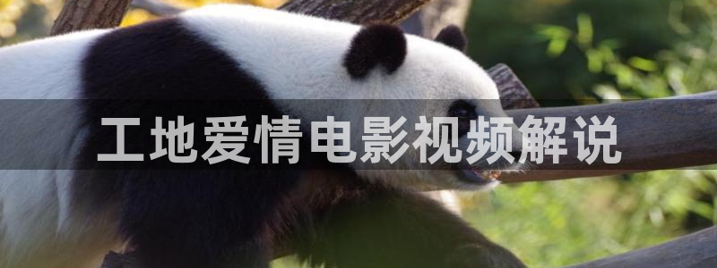 星辰影院免费观看电影电视剧