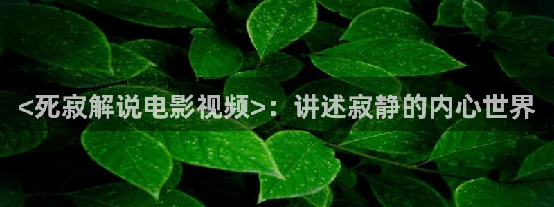 星辰影院2024