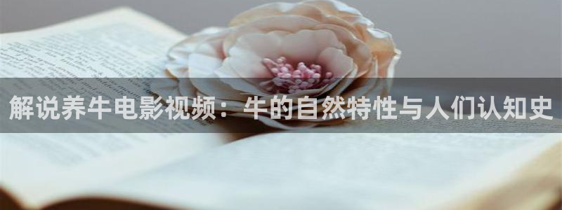 去有风的地方电视剧星辰影院