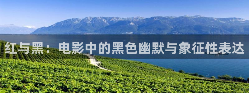 星辰影院官网app