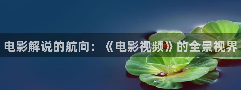 玫瑰的故事电视剧免费观看全集高清星辰影视