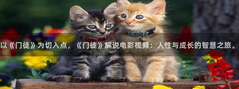 你也有今天电视剧免费观看星辰影院