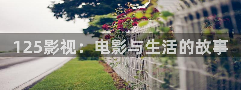 山河令在线观看免费观看完整版 星辰影视