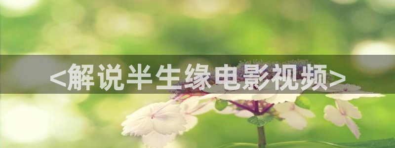 倚天屠龙记星辰影院