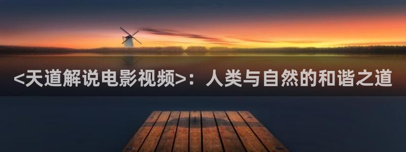 二十不惑电视剧星辰影视