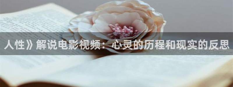 知否知否应是绿肥红瘦在线观看星辰影院