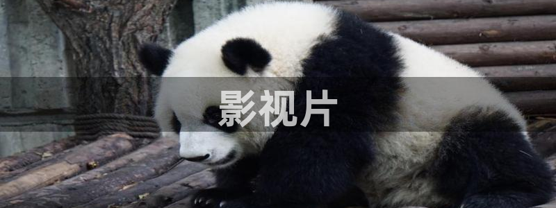 我的前半生星辰影院
