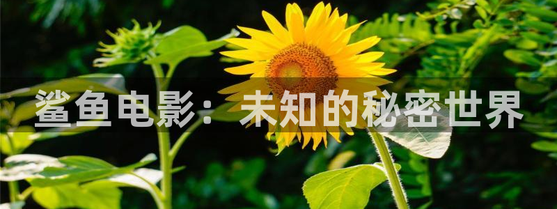 星辰影院免费在线观看视频