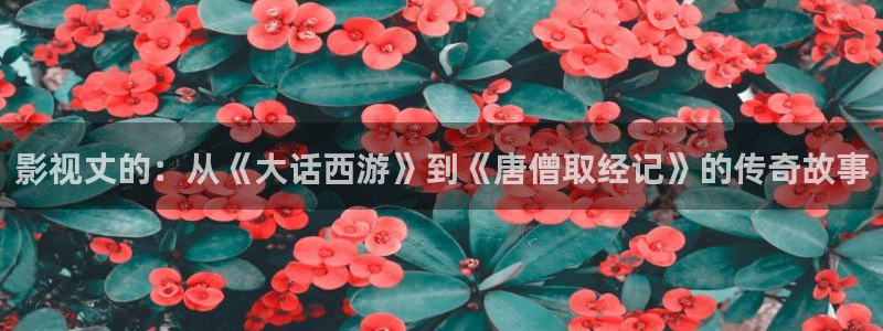 星辰耽漫网