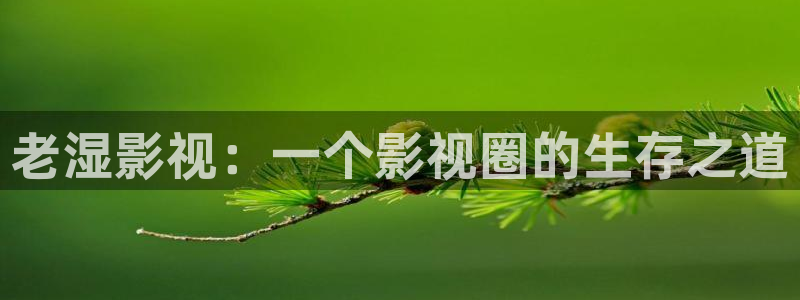 新闻图片